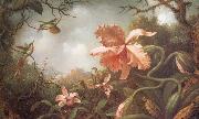 Martin Johnson Heade The Hummingbirds and Two Varieties of Orchids oil painting artist